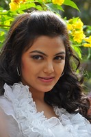 Priya Stills